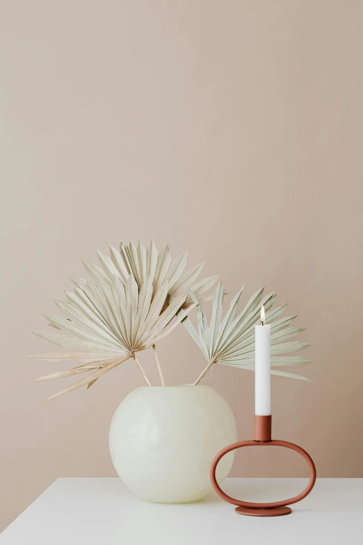 a white vase sitting on top of a white table, by Anna Boch, minimalism, fronds, holding a candle holder, soft red tone colors, ivory and copper