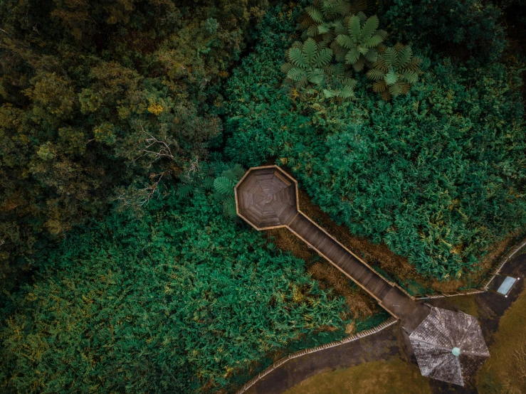 an aerial view of a bridge in the middle of a forest, an album cover, unsplash contest winner, hurufiyya, hobbit monastery on hawaii, helipad, octagon render 8k, wellington