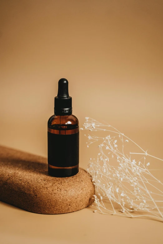 a bottle of essential oil sitting on top of a rock, by Andries Stock, unsplash, renaissance, black fine lines on warm brown, plain background, silicone skin, cardboard