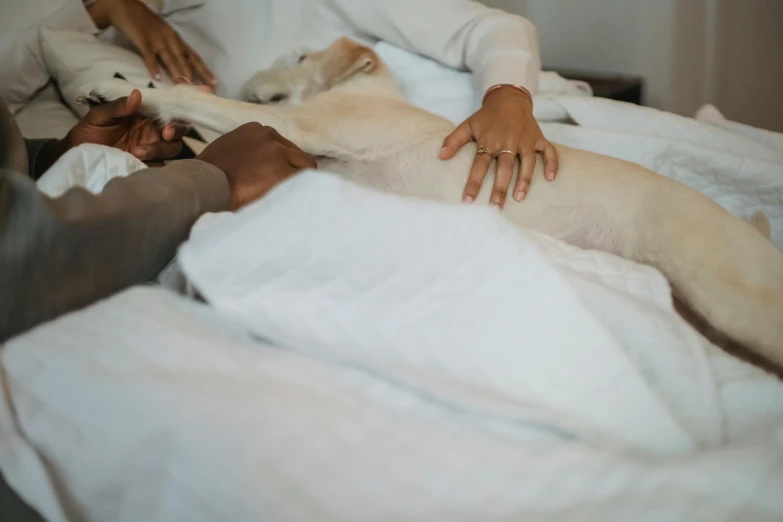 a person laying in a bed with a dog, holding hands, nursing, wearing a white robe, multiple stories