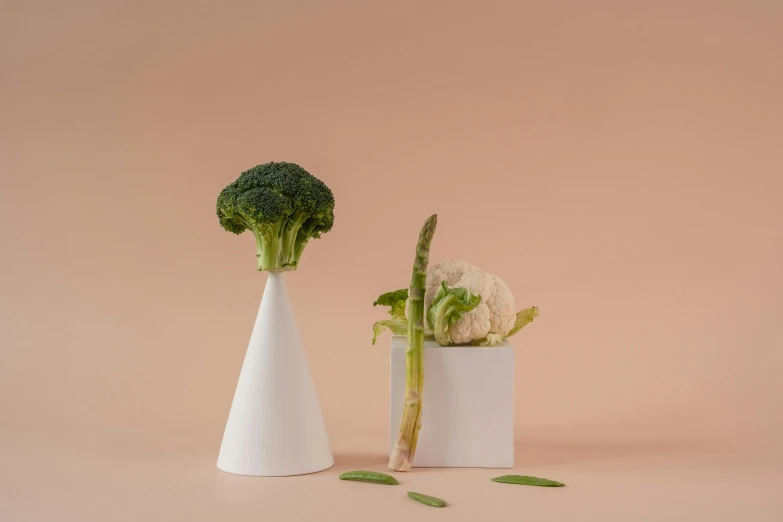 two vases with broccoli and cauliflower in them, inspired by Giorgio Morandi, unsplash, magic realism, cone shaped, salad and white colors in scheme, product design shot, with towers