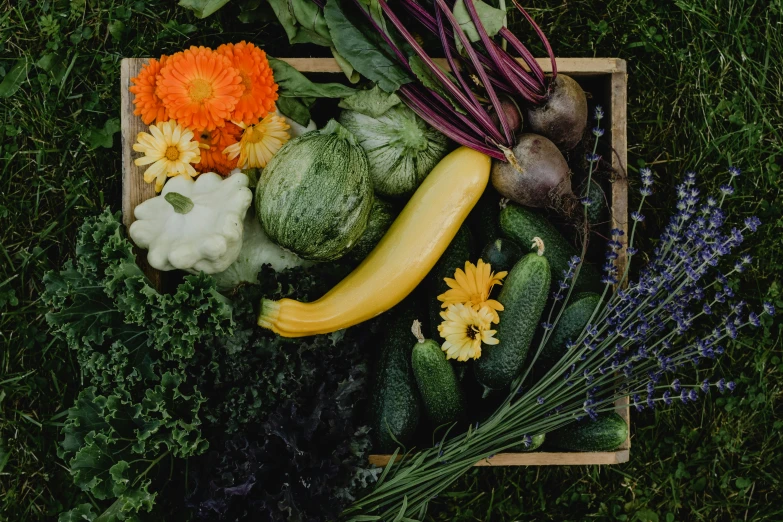 a wooden box filled with different types of vegetables, a picture, by Carey Morris, unsplash, with flowers and plants, cream of the crop, embracing, 🦩🪐🐞👩🏻🦳