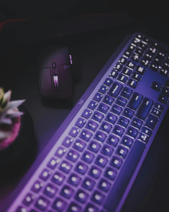 a computer keyboard and mouse on a desk, trending on pexels, purple skin, it's night, low quality photo, lgbtq