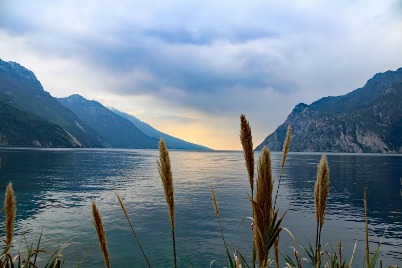 a body of water with mountains in the background, by Jan Rustem, pexels contest winner, small reeds behind lake, vouge italy, avatar image