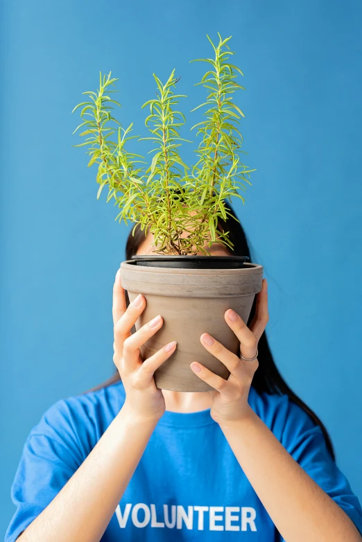 a woman covering her face with a potted plant, shutterstock contest winner, wearing a light blue shirt, crack head, sustainable materials, made of bonsai