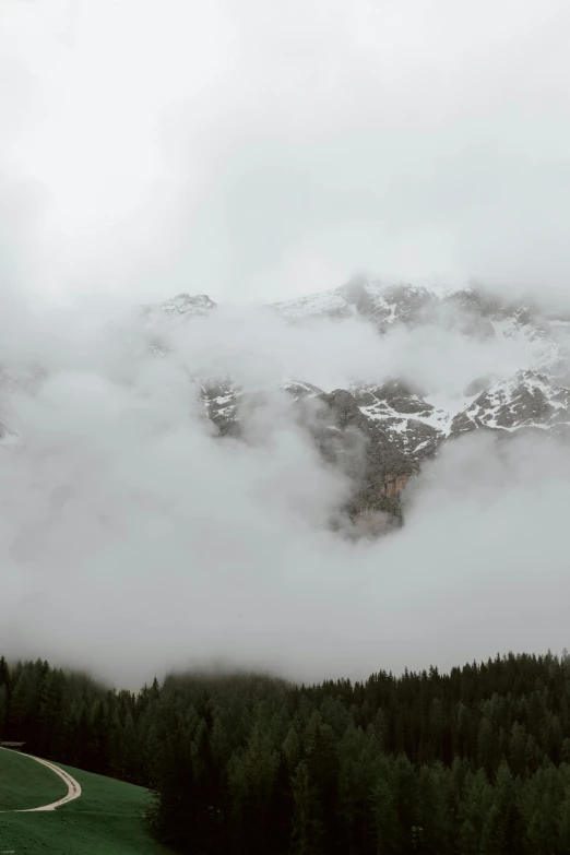 a couple of cows standing on top of a lush green field, pexels contest winner, romanticism, dark misty foggy valley, in the dolomites, with a snowy mountain and ice, extreme panoramic