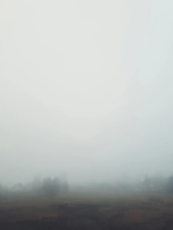 a horse standing in a field on a foggy day, inspired by Zhang Kechun, postminimalism, ((mist)), made of mist, landscape photograph, grey