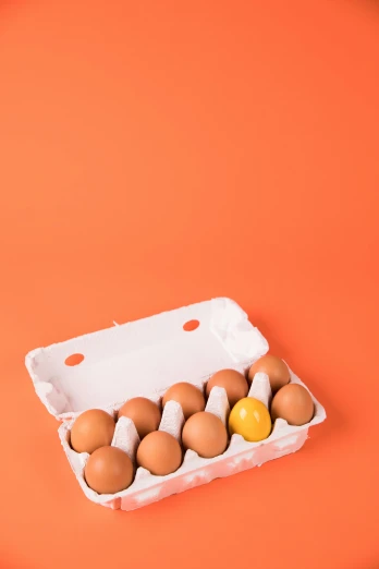 a carton of eggs on an orange background, unsplash, centered design, ilustration, uploaded, cooked