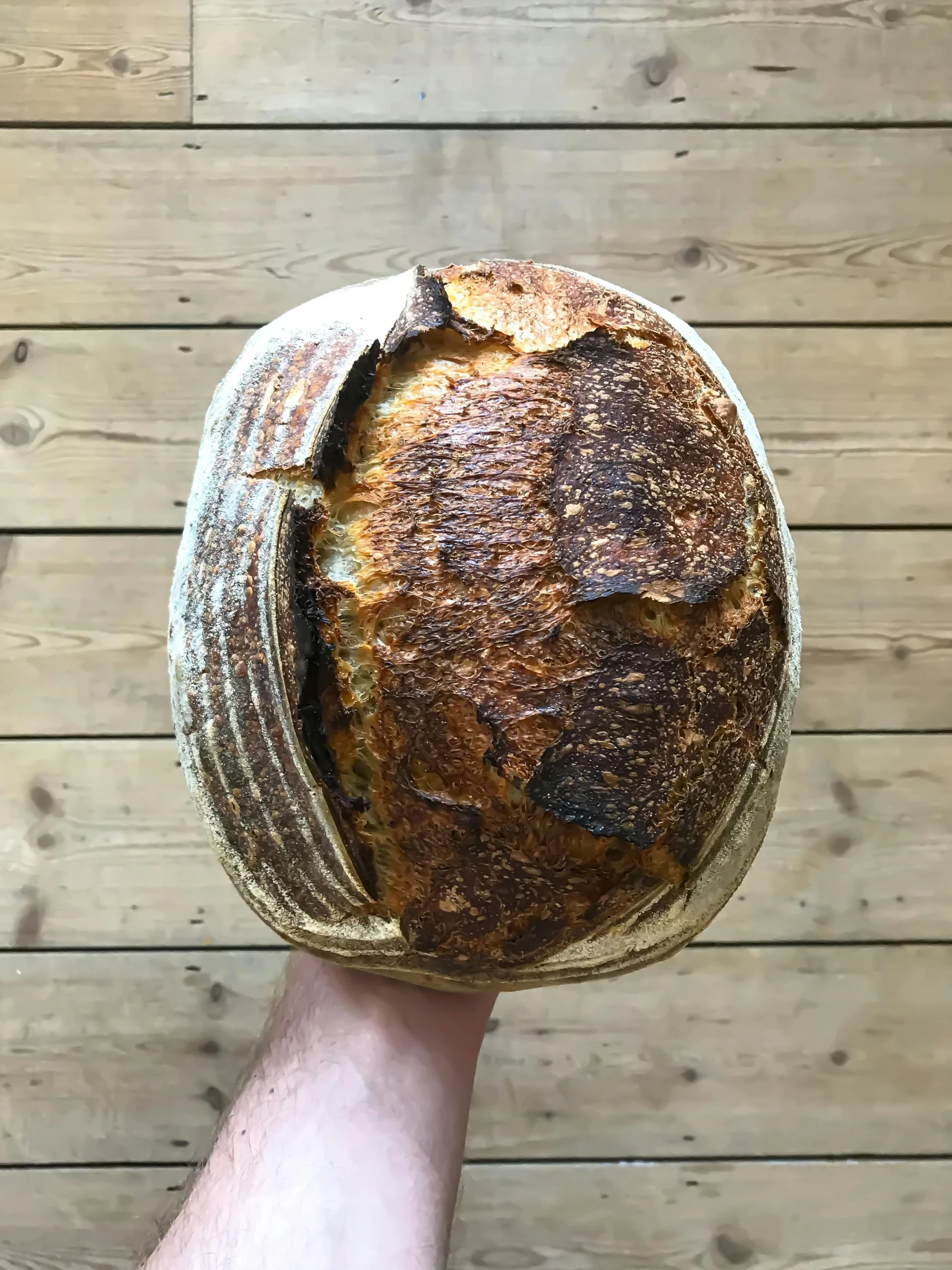 a person holding a loaf of bread in their hand, inspired by Normand Baker, clear julian lage face, award-winning crisp details”, massive wide trunk, woodfired