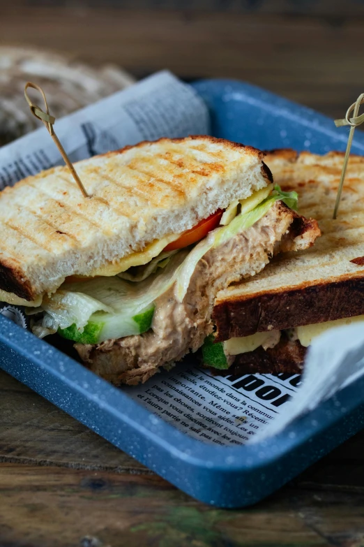 a sandwich sitting on top of a blue tray, by Andries Stock, pexels contest winner, panini, thumbnail, kete butcher, mac