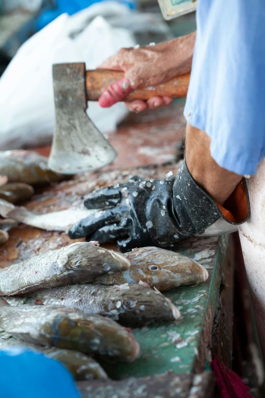 a close up of a person cutting fish on a table, heavy-duty boots, slide show, concerned, harbor