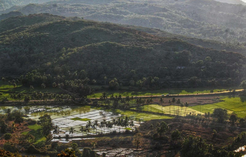 a river running through a lush green valley, by Daniel Lieske, pexels contest winner, hurufiyya, wide view of a farm, shadows. asian landscape, late afternoon light, panels