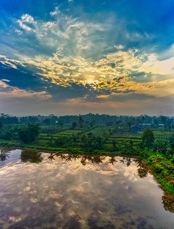 a large body of water surrounded by trees, by Basuki Abdullah, sunset panorama, terraced orchards and ponds, after the rain