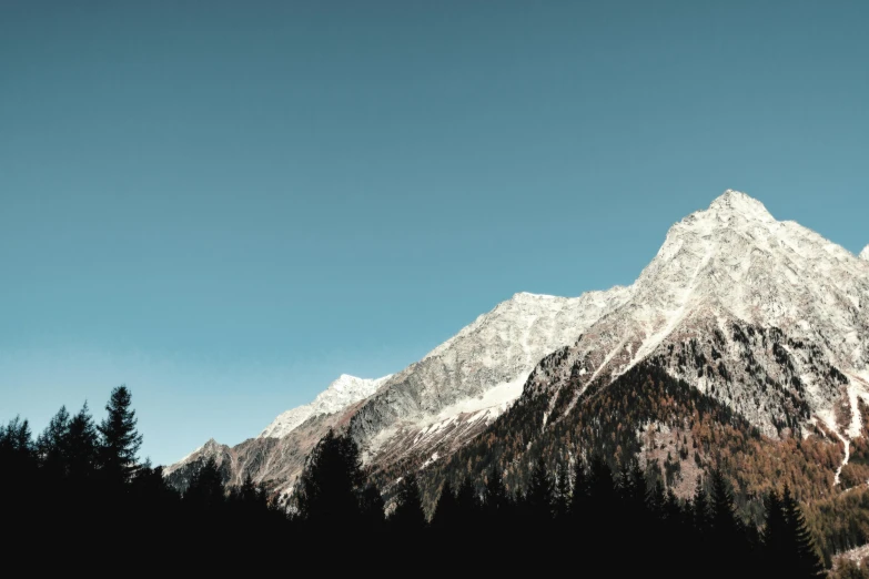 a snow covered mountain with pine trees in the foreground, pexels contest winner, minimalism, cloudless sky, 4 0 9 6, brown, various posed