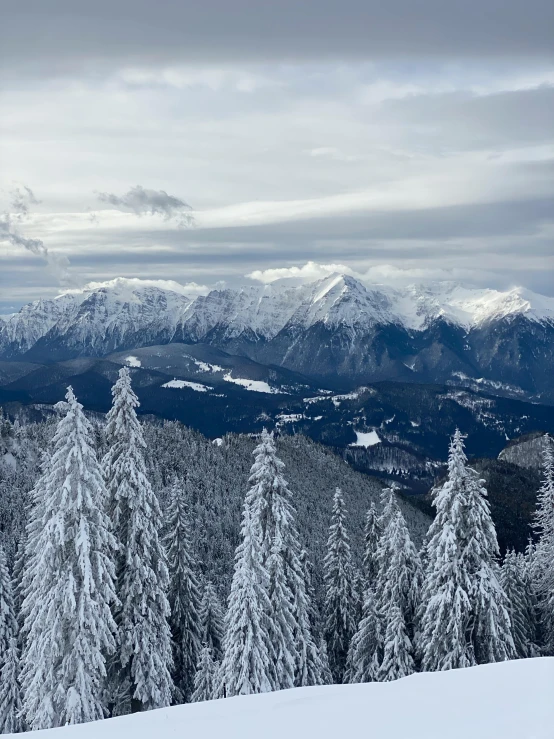 a man riding skis on top of a snow covered slope, by Adam Szentpétery, pexels contest winner, romanticism, spruce trees on the sides, panorama distant view, today\'s featured photograph 4k, over the tree tops