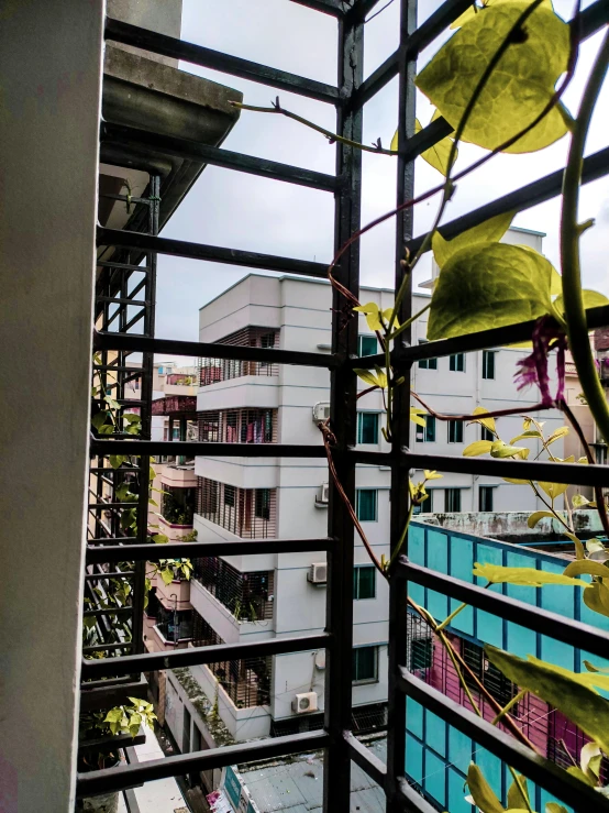 a view of a swimming pool from a balcony, an album cover, inspired by Thomas Struth, photorealism, old dhaka, window ( city ), leaves and vines, eyelevel!!! view!!! photography