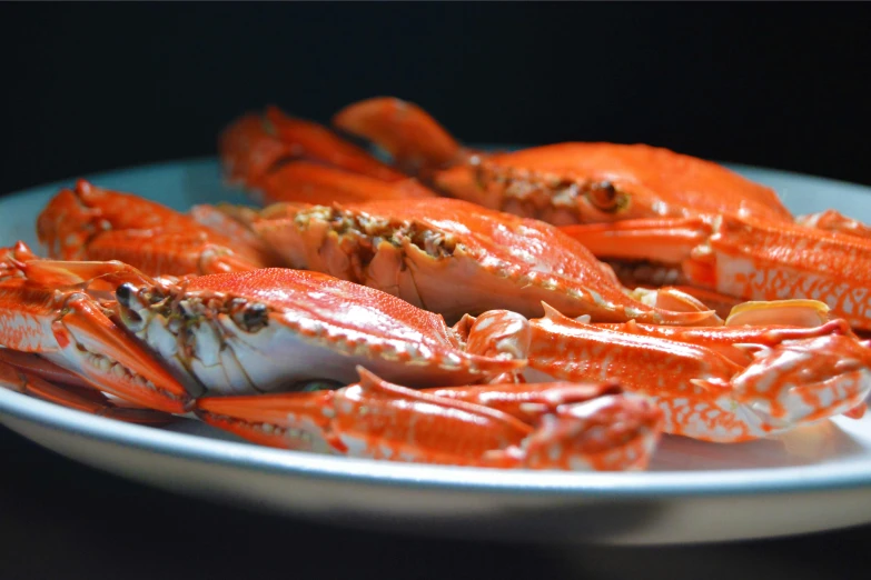 a plate of cooked crabs on a table, pexels contest winner, thumbnail, 王琛, 3 4 5 3 1, great quality )