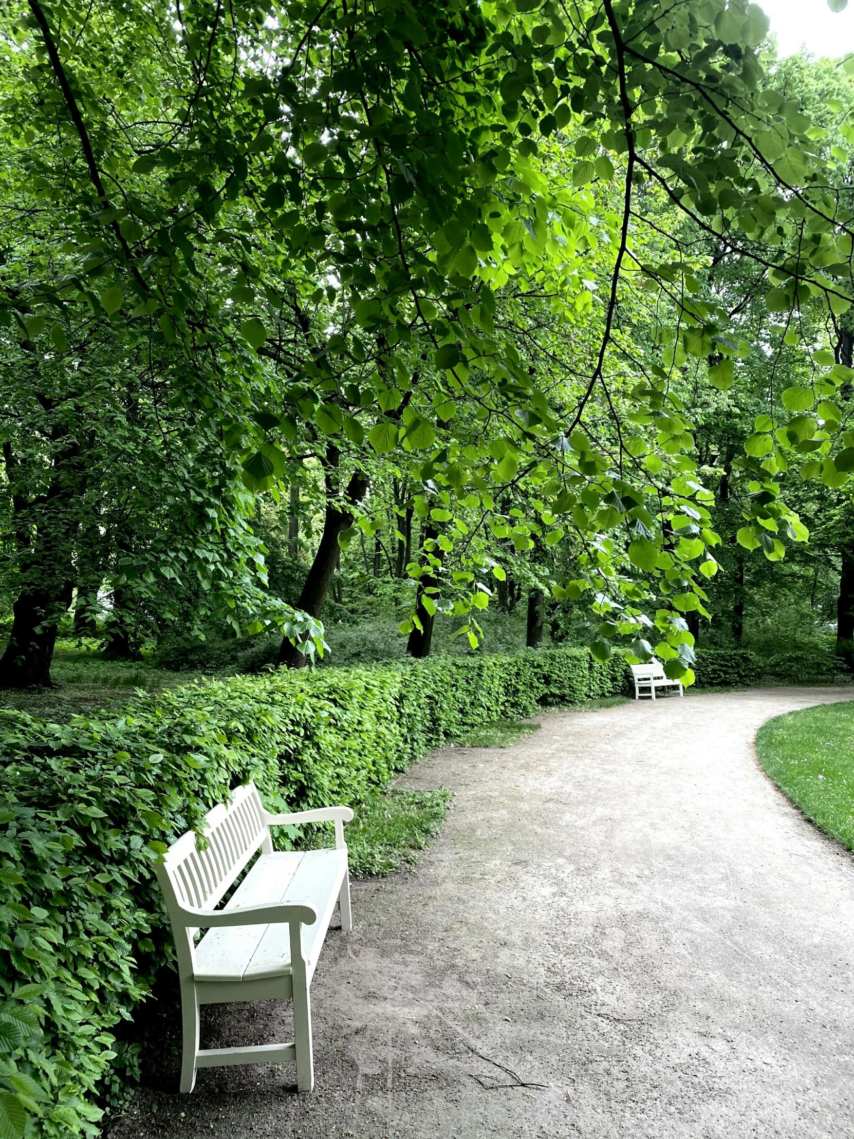 a white bench sitting in the middle of a park, inspired by Otakar Sedloň, romanticism, lush green, shady, stockholm, 1 6 0 0 s