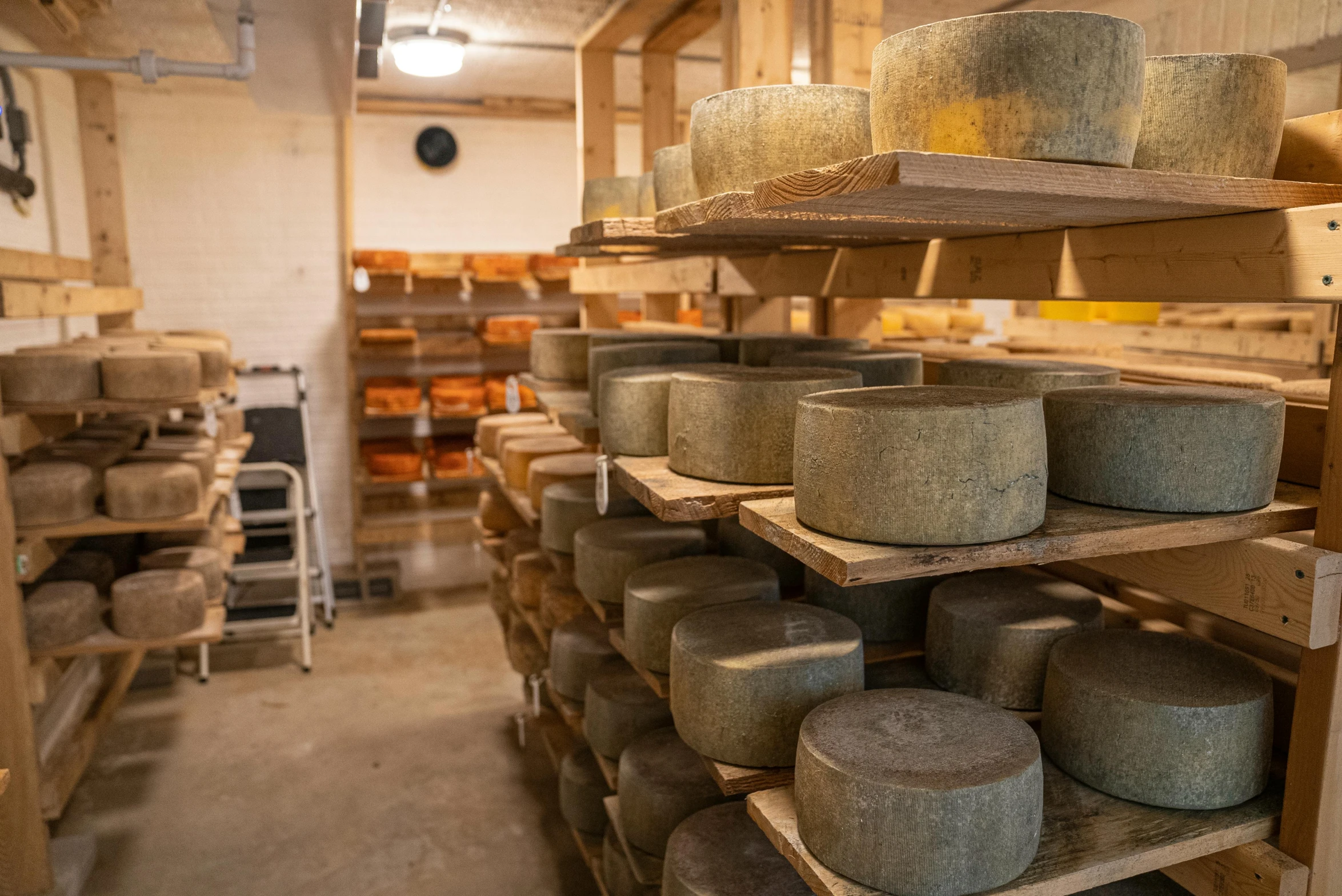 a room filled with lots of different types of cheese, a portrait, unsplash, mingei, 9 steel barrels in a graveyard, cheddar, mill, thumbnail