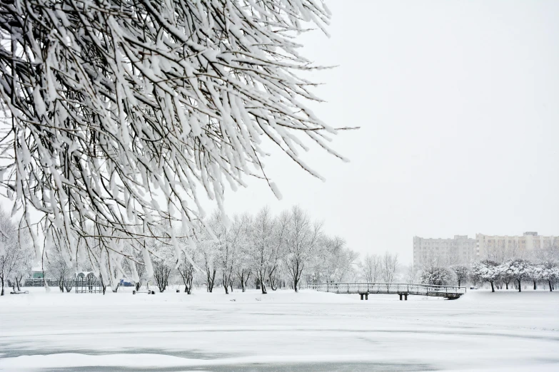 a group of people walking across a snow covered field, by Lucia Peka, pexels contest winner, soviet apartment buildings, giant white tree, parks and lakes, white pale concrete city