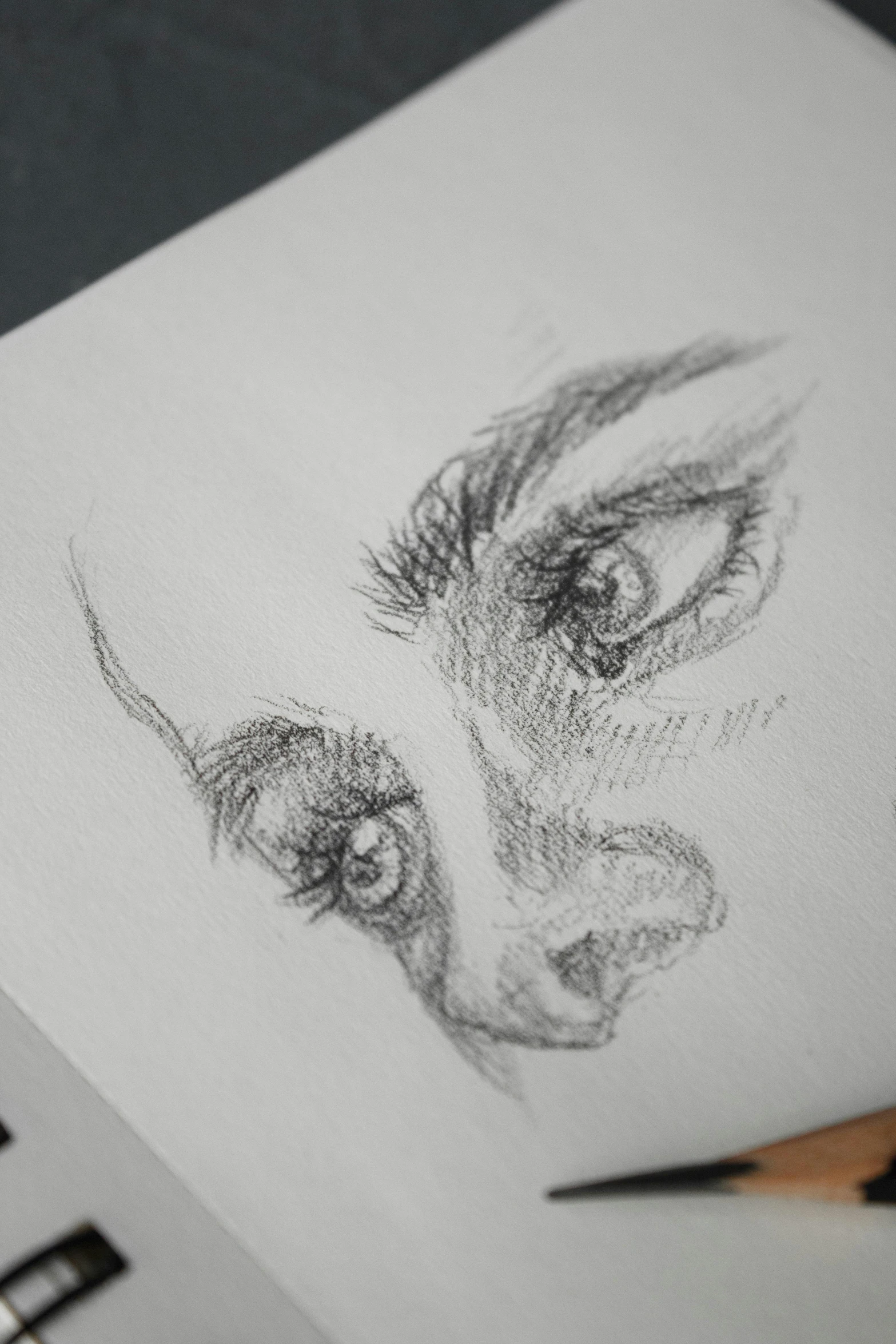 a drawing of a dog's face on a piece of paper, a drawing, cgsociety, eyes with catchlight, close up of face, woman's face, looking down at you