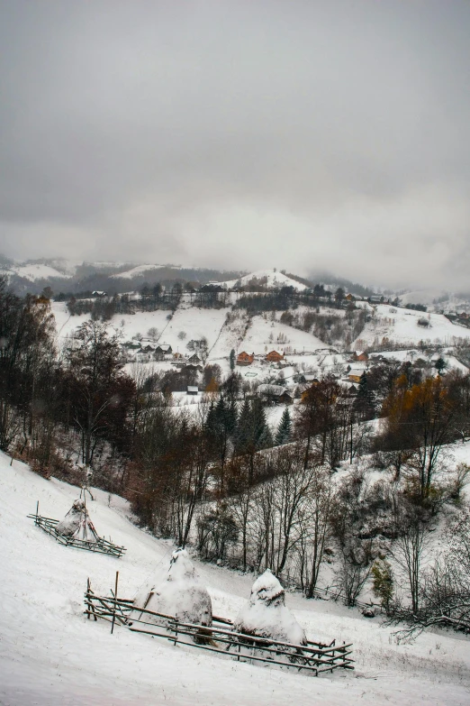 a man riding a snowboard down a snow covered slope, a tilt shift photo, inspired by Jenő Barcsay, renaissance, overlooking a valley with trees, some houses in the background, overcast skies, today\'s featured photograph 4k