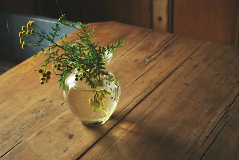 a vase filled with flowers sitting on top of a wooden table, unsplash, hemlocks, yellow, multiple stories, small