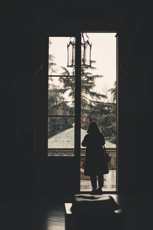 a silhouette of a person standing in front of a window, dark university aesthetic, french door window, february), she's sad