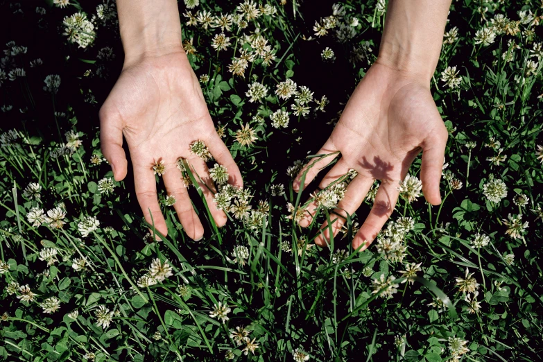 a close up of a person's hands in a field of flowers, an album cover, inspired by Elsa Bleda, hyperrealism, clover, hans bellmer and nadav kander, 2000s photo, greens)