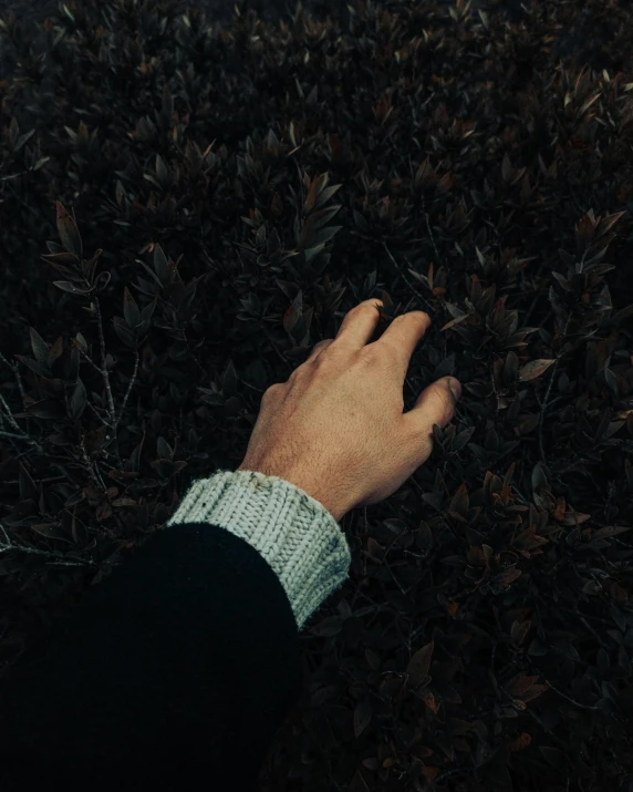 a person standing on top of a lush green field, an album cover, unsplash, black hands with black claws, he is wearing a brown sweater, hedge, extremely pale white skin