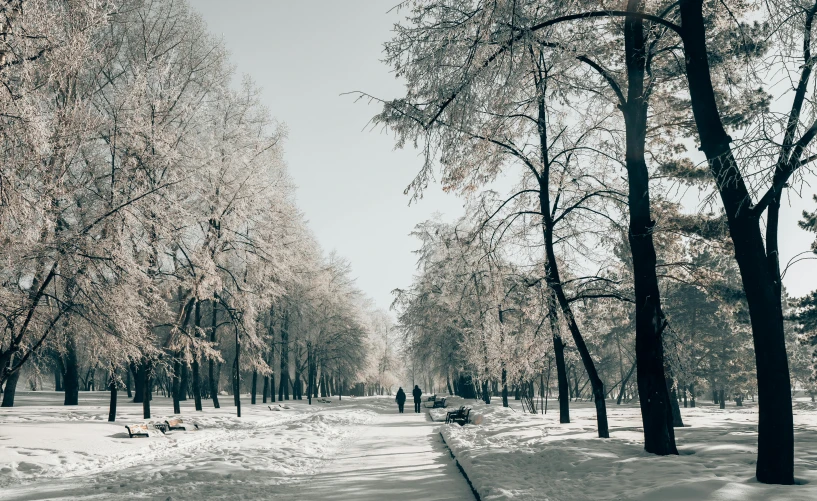 a bench sitting in the middle of a snow covered park, by Alexey Venetsianov, pexels contest winner, people walking in street, lot of trees, thumbnail, moscow