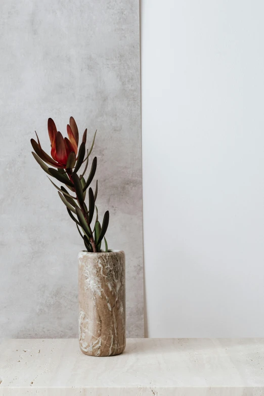 a vase that has some flowers in it, inspired by Károly Lotz, trending on unsplash, concrete art, tall shot, bromeliads, muted brown, professional product photo