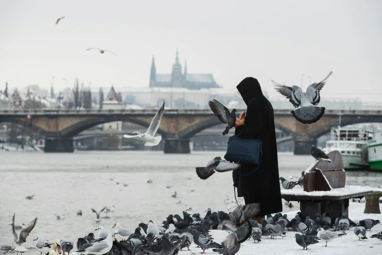 a woman standing in front of a flock of birds, by Tobias Stimmer, pexels contest winner, prague in the background, burka, snowy, fisherman