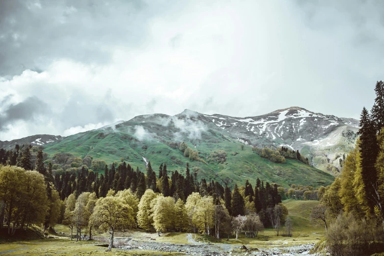 a herd of sheep grazing on top of a lush green field, by Muggur, pexels contest winner, hurufiyya, mountains river trees, alessio albi, with a snowy mountain and ice, overcast