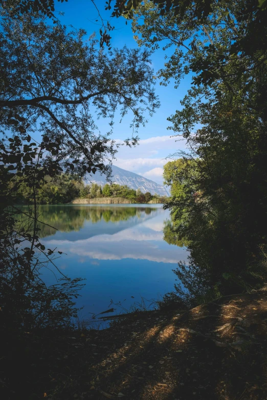 a body of water surrounded by trees on a sunny day, by Otto Meyer-Amden, unsplash, les nabis, 2 5 6 x 2 5 6 pixels, mirror lake, vines hanging over the water, mountains river trees