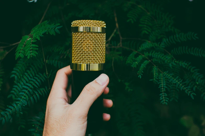 a person holding a microphone in their hand, pexels contest winner, private press, gold and green, instagram picture, biophilia mood, gold and red metal