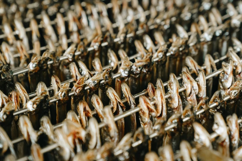 a bunch of dried fish sitting on top of a rack, a macro photograph, by Carey Morris, trending on pexels, hurufiyya, larvae, made of polished broze, thumbnail, rows of razor sharp teeth