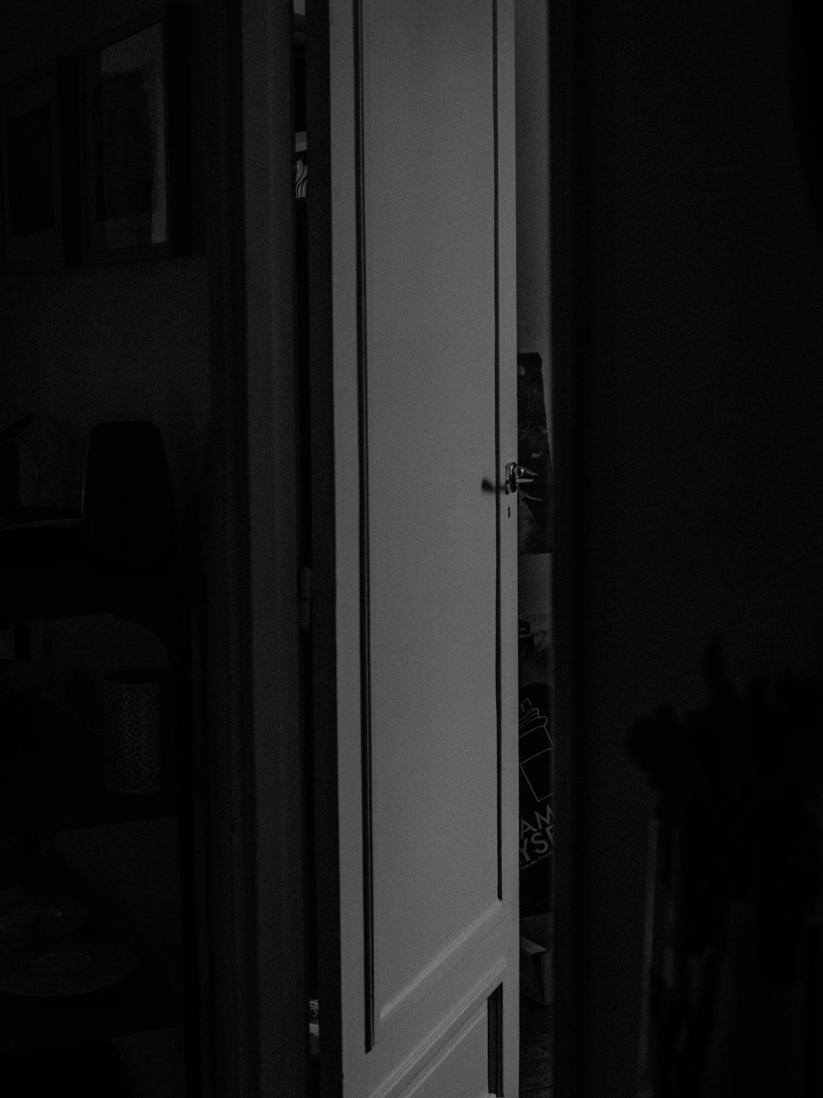 a black and white photo of an open door, a black and white photo, by Jan Tengnagel, unsplash, evening mood, exiting from a wardrobe, night time footage, photo of scp-173