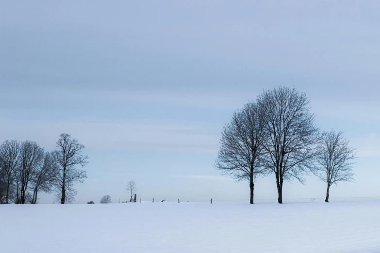 a man riding skis down a snow covered slope, a picture, unsplash contest winner, minimalism, linden trees, graveyard landscape, an open field, shot on hasselblad