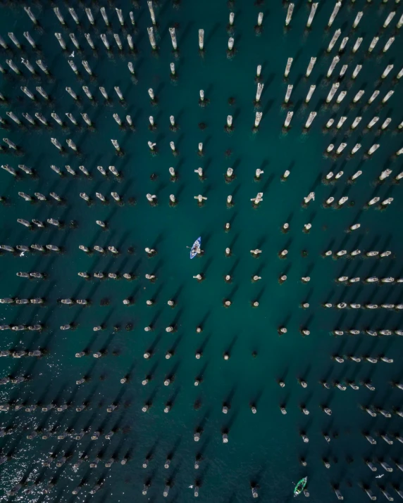 a number of boats in a body of water, inspired by Andreas Gursky, unsplash contest winner, volumetric light from above, cinematic composition 8 k, national geographic photo award, grid