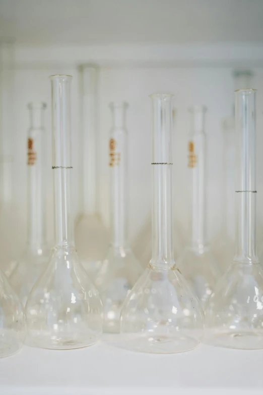 a bunch of glass flasks sitting on top of a shelf, unsplash, process art, handling laboratory equipment, white, long neck, panel