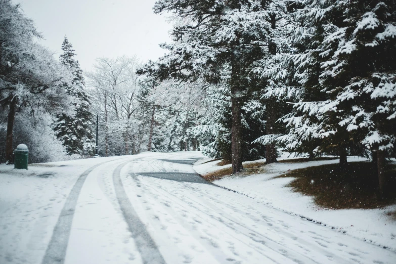 a road covered in snow next to trees, pexels contest winner, fan favorite, driveway, half turned around, holiday season