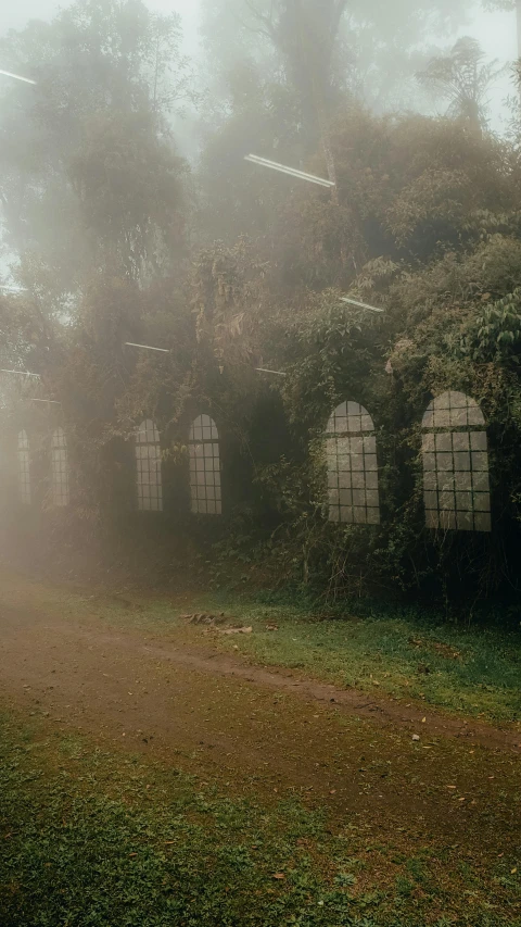 a red fire hydrant sitting on top of a lush green field, a matte painting, by Elsa Bleda, pexels contest winner, magical realism, wires hanging across windows, foggy jungle, house windows, overgrown with orchids