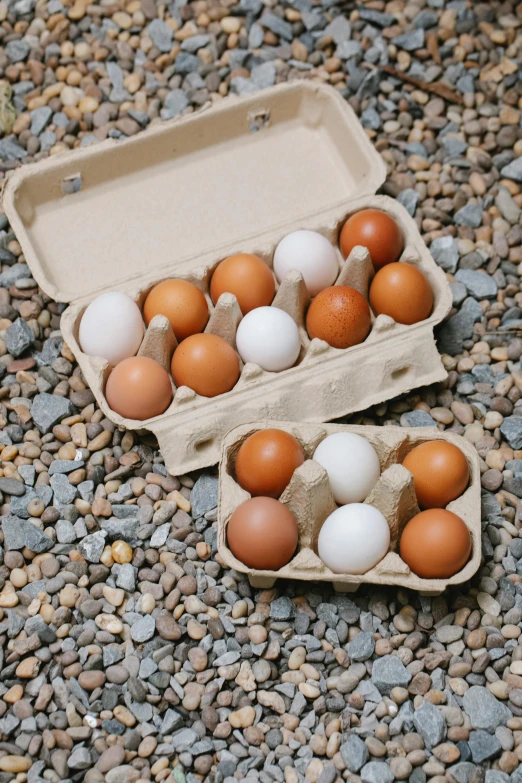 a carton filled with eggs sitting on top of gravel, full product shot, tiny village, a medium shot, traditional medium