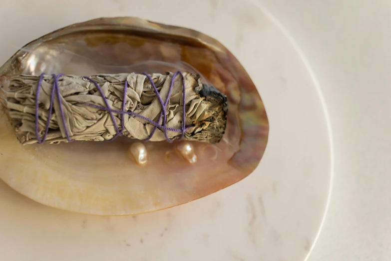 an oyster shell with a smudy smudy smudy smudy smudy smudy smudy smud, by Helen Stevenson, unsplash, draped in purple and gold silk, pestle, shungite bangle, rectangular