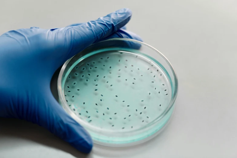 a close up of a gloved hand holding a petri dish, trending on pexels, plasticien, blue and black scheme, spores, detailed product image, in australia