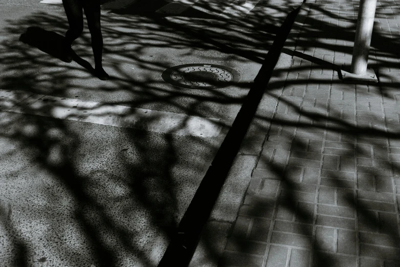 a black and white photo of a man walking down a sidewalk, pexels contest winner, conceptual art, large tree casting shadow, luminous veins, in the middle of the city, archival pigment print