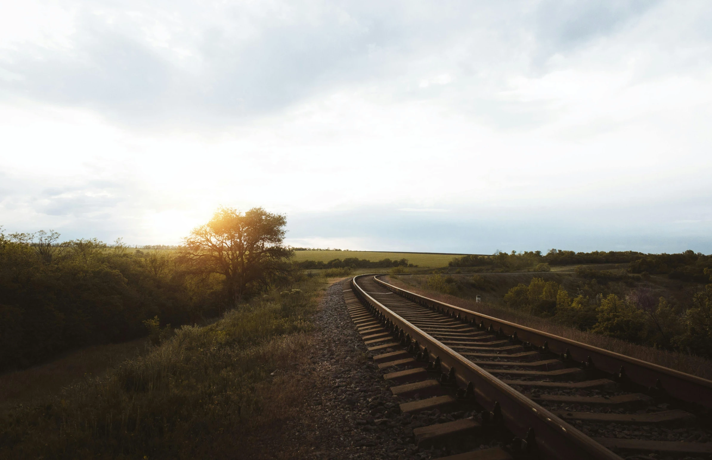 a train traveling down train tracks next to a lush green field, a picture, by Lucia Peka, unsplash, realism, sun set, rail tracks lead from the mine, horizon view, low angle view