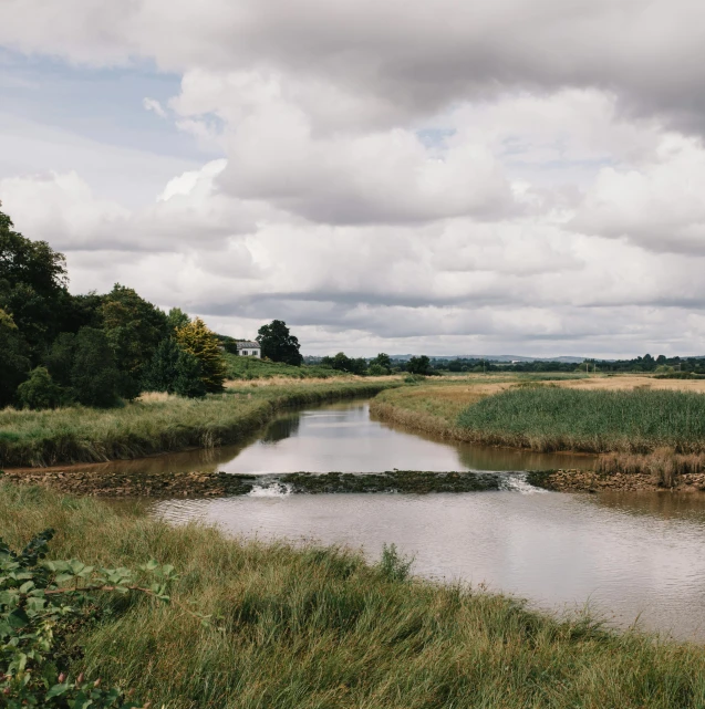 a river running through a lush green field, by Rachel Reckitt, unsplash, visual art, grey skies, reed on riverbank, shot on hasselblad, bucklebury ferry