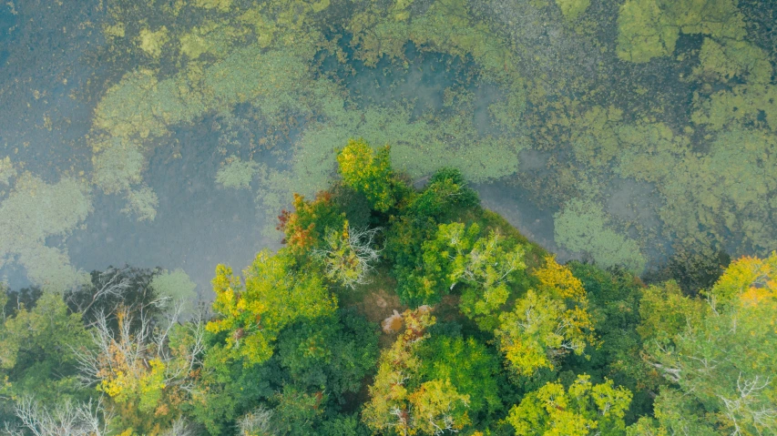 an aerial view of a river surrounded by trees, unsplash contest winner, environmental art, floating island, amongst foliage, minn, ignant
